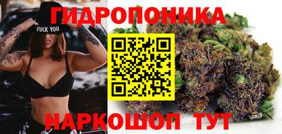 стафф Кинель