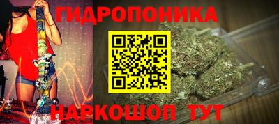 соль ск Кингисепп