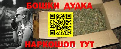 соль ск Кингисепп