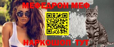 стафф Кинель