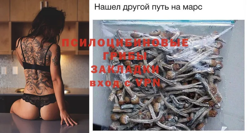 Галлюциногенные грибы Magic Shrooms  купить  сайты  Нефтеюганск 